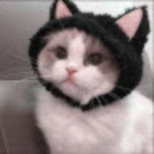 Meet your Posher, Jaylynn